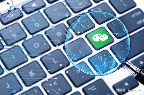 技术创新驱动，永阳网络助力企业以小程序撬动增长新引擎